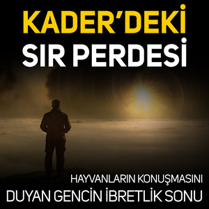 Kaderdeki Sır Perdesi: Hayvanların Konuşmasını Duyan Gencin İbretlik Sonu