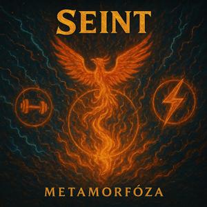 MetaMorfóza