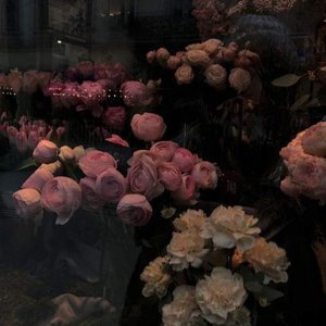 Xin lỗi vì đã để em gặp người như anh