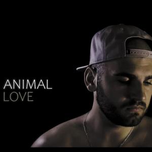 Animal Love