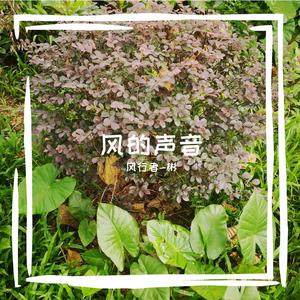 暴风骤雨的夜晚