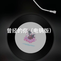 冲动的惩罚 (电钢版)