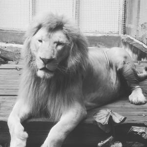 Monolouge（独角戏）