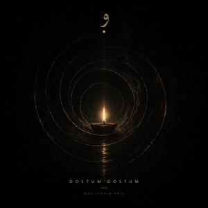 DOSTUM (feat. Nazlıcan Darı) (Extended)