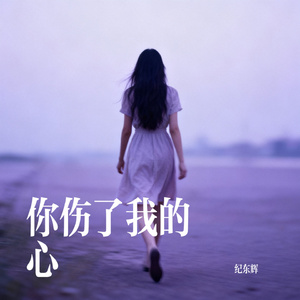 你伤了我的心