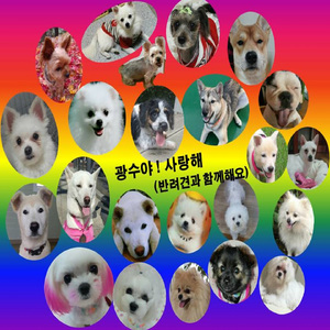 광수야사랑해