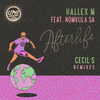Hallex M - Afterlife (Instrumental Mix)