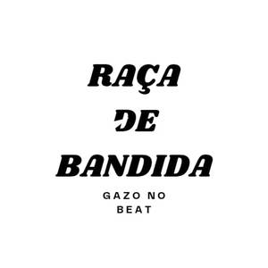RAÇA DE BANDIDA (ARROCHADEIRA REMIX)