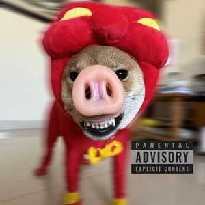 靓仔才玩说唱