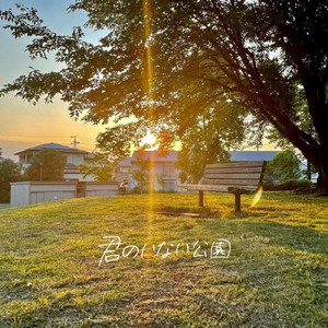 君のいない公園