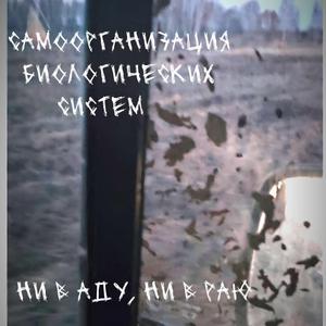 Имея - не ценим