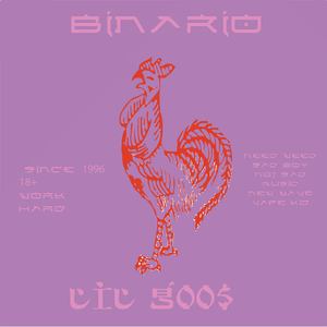 Binario