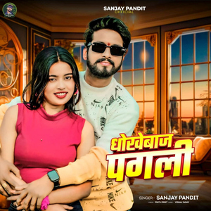 Dhokhebaj Pagali