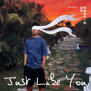 如果我能像你一样