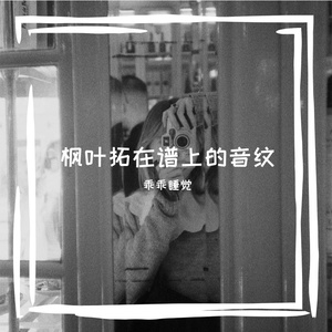 枫叶拓在谱上的音纹