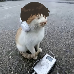 你是我遇到第一个春天