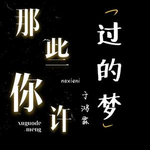 那些你许过的梦