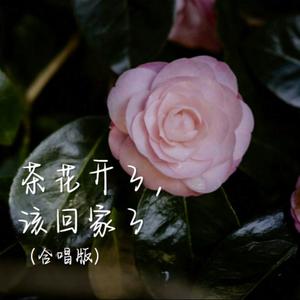 茶花开了，该回家了（合唱）