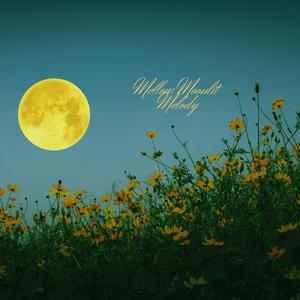 Mellow Moonlit Melody