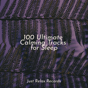 Midsummer's Lullaby Charm