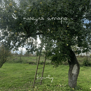 Плакуча гітара