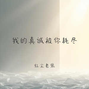 我的真诚被你耗尽