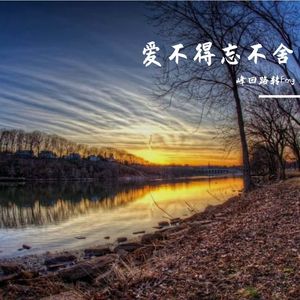 爱不得忘不舍(DJ加快白小白版)