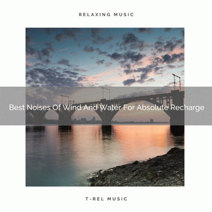 Beautiful Noises Of Waves And Animals For Good Dreams