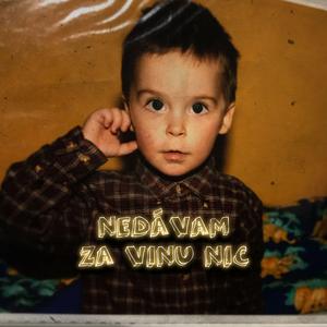 Nedávam za vinu nic