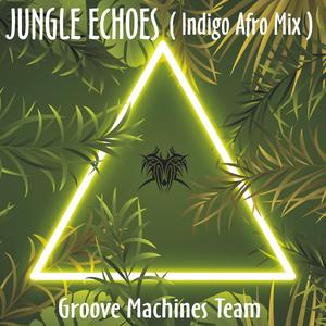 JUNGLE ECHOES (Indigo Afro Mix)