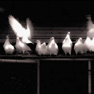 分合(Prod.No Birthday)