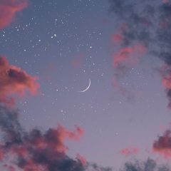 花月夜