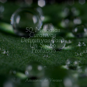 Abrazo Brumoso de Calma