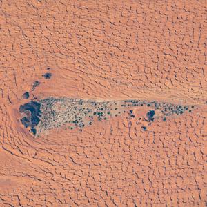 String Quartet No. 1, "Muqarna"