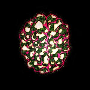 The Condition of Musick