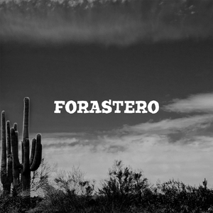 Forastero