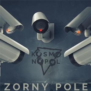 Zorný Pole