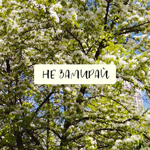 Не замирай