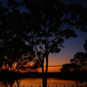 不要再说了（翻自 匡宇_Keny）