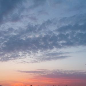 “免费可商用伴奏”隔年痛