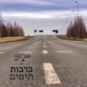 ברבות הימים