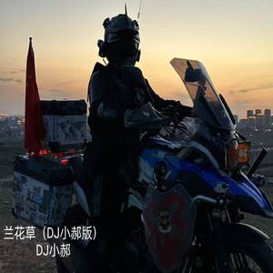 兰花草 (DJ小郝版)