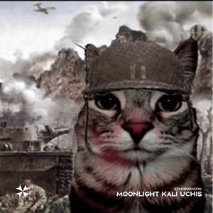 moonlight kali uchis