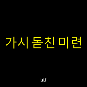 가시 돋친 미련