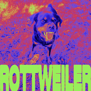 I Miss The Sub Bass…