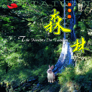 天海: 阿里山云海