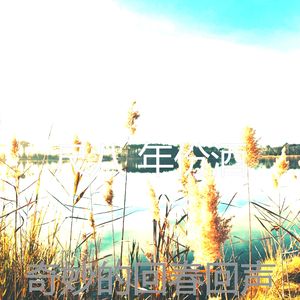 抚慰的回春回忆