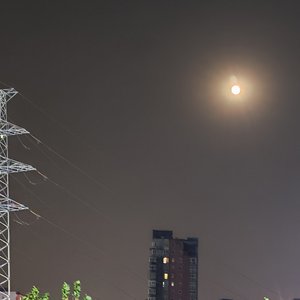 记得忘了