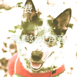 柔和的训练你的狗时刻