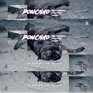 Ponchao (feat. Plaxxxeres & Leirbag)